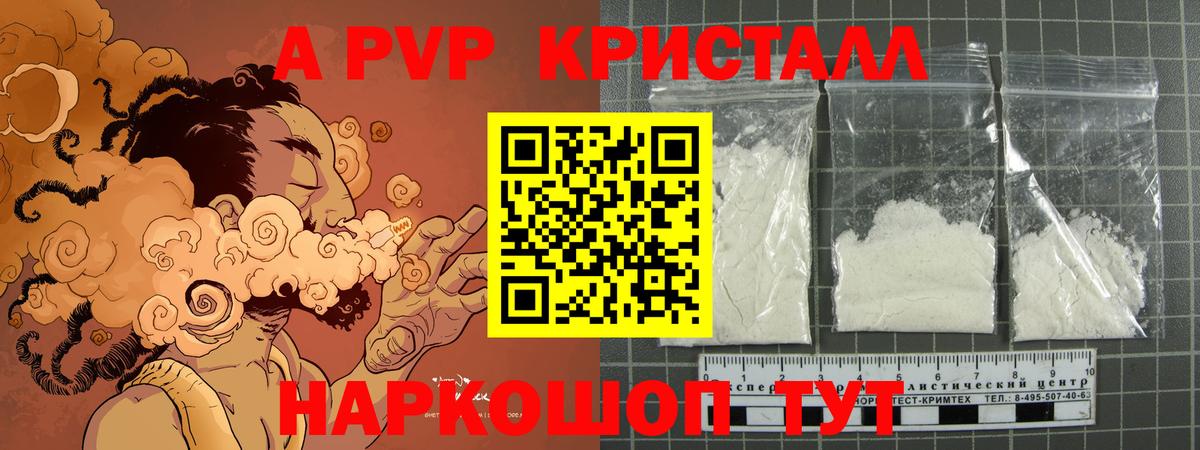 A PVP СК КРИС Печора