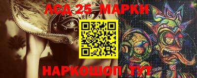 шишки Сланцы