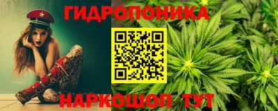 шишки Сланцы